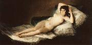 Francisco Goya The Naked Maja china oil painting artist